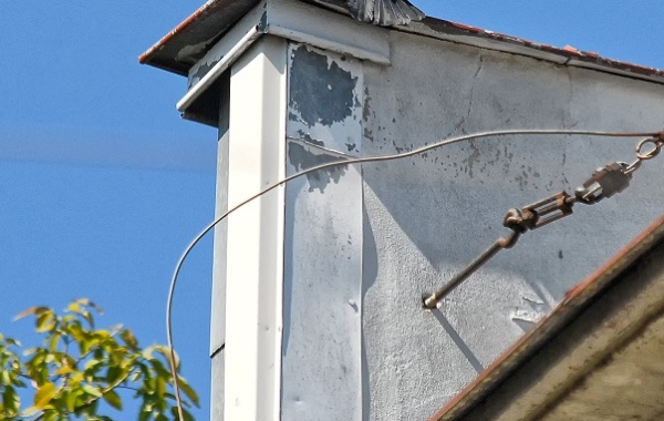 Inwentaryzacja ornitologiczna wraz z zaleceniami kompensacji przyrodniczej