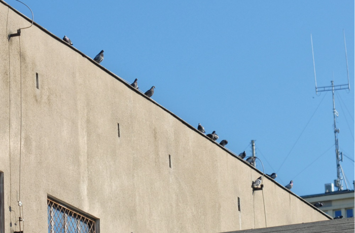Inwentaryzacja budynku mieszkalno-warsztatowego przy Szczerbowskiego 6 w Lublinie