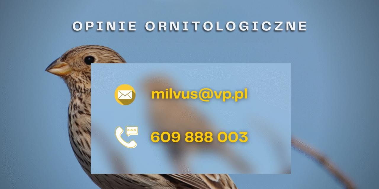 Baner kontaktowy ornitolog simprint szymon wójcik usługi ornitologiczne i chiropterologiczne wojewódźtwo lubelskie